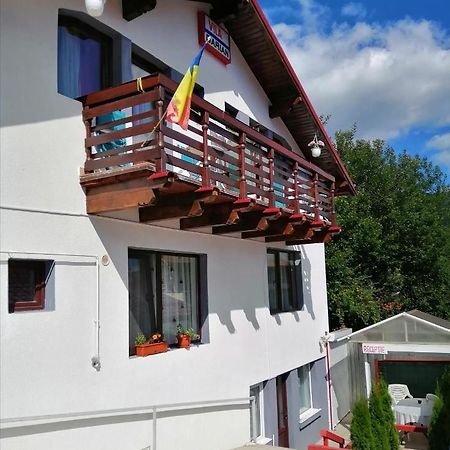 Villa Vila Darian Buşteni Exterior foto