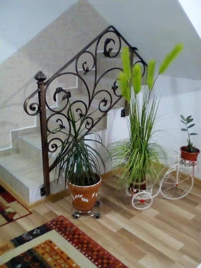 Villa Vila Darian Buşteni Exterior foto