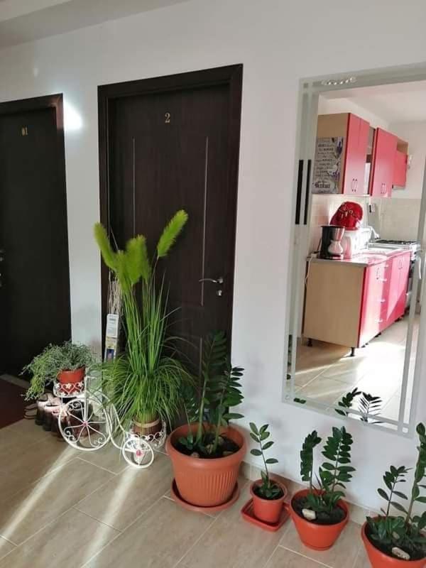 Villa Vila Darian Buşteni Exterior foto