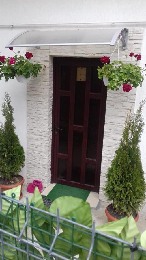 Villa Vila Darian Buşteni Exterior foto
