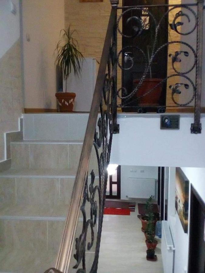 Villa Vila Darian Buşteni Exterior foto