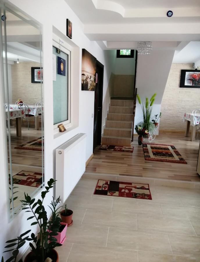 Villa Vila Darian Buşteni Exterior foto