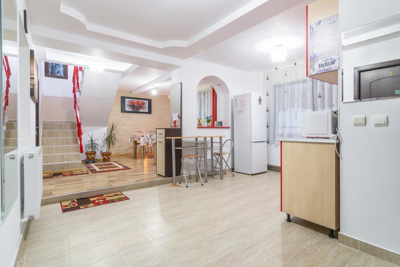 Villa Vila Darian Buşteni Exterior foto