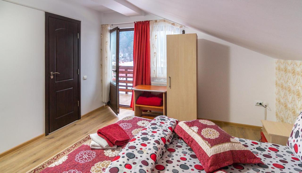 Villa Vila Darian Buşteni Exterior foto